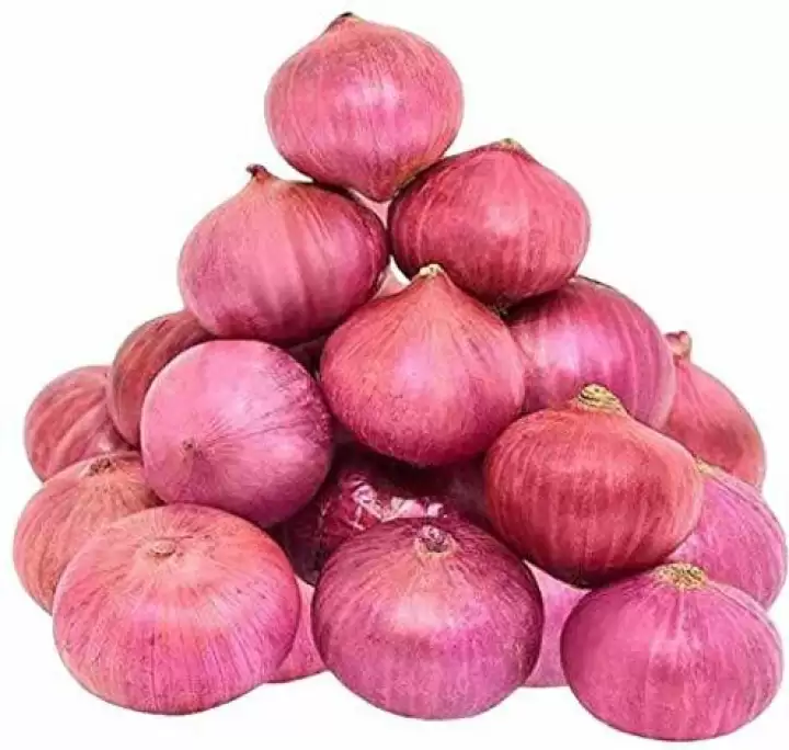 Onion Exporter in Nashik