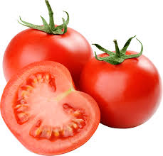 Tomato Exporter in nashik