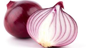 Shree Datta Krupa Traders Onion Exporter